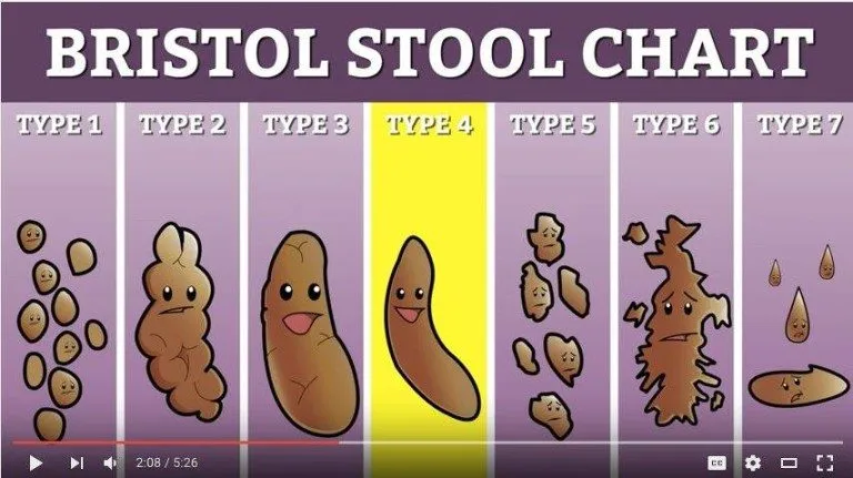 What does your Poop Says about You