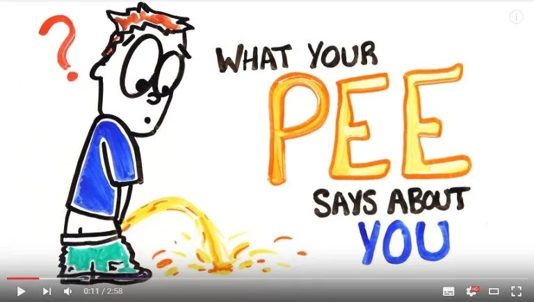 What Does Your Pee Say about Your Health