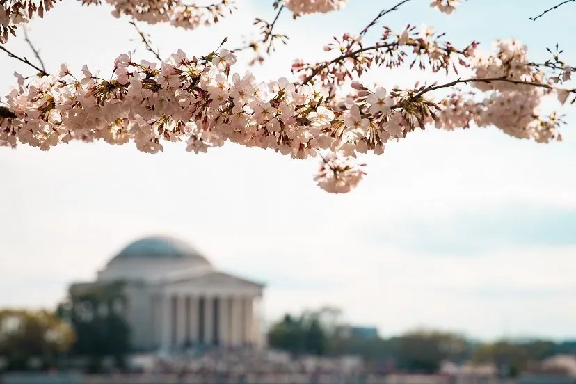 9 Things To Do In DC If You’ve Been There Before